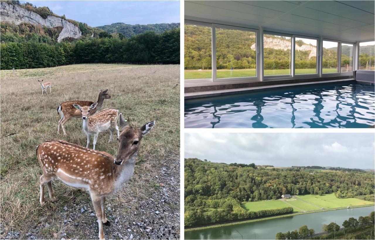 Le Val Des Cerfs - Het Hertendal Hastiere-par-dela Bagian luar foto